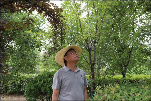 浙商证券证交所 濉溪县百善镇开展拉网捕鸟专项整治行动 维护生态平衡_大皖新闻 | 安徽网