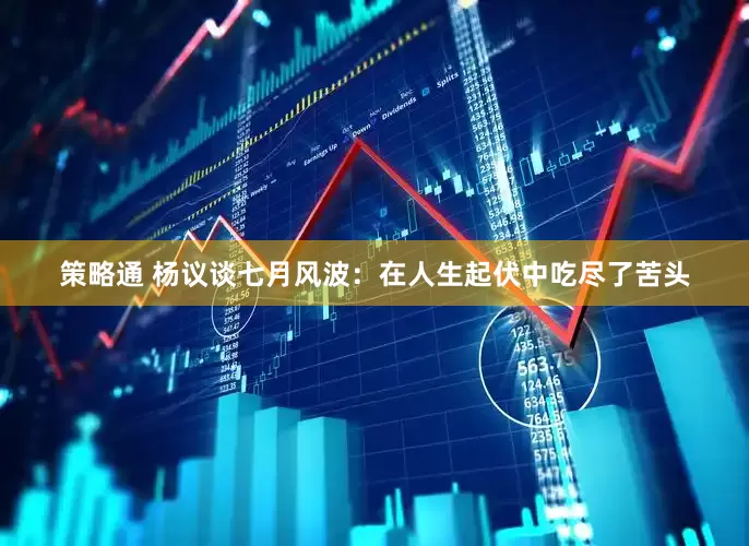 策略通 杨议谈七月风波：在人生起伏中吃尽了苦头